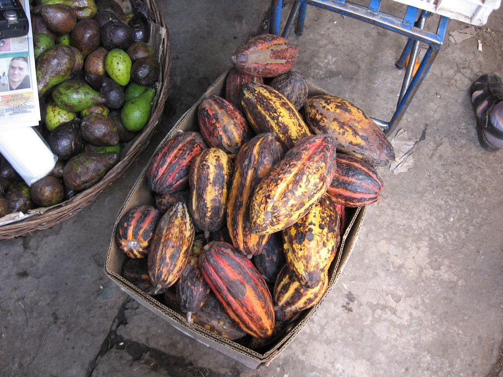 Какао - бобы - суперфуд здоровья и долголетия. В чем их польза