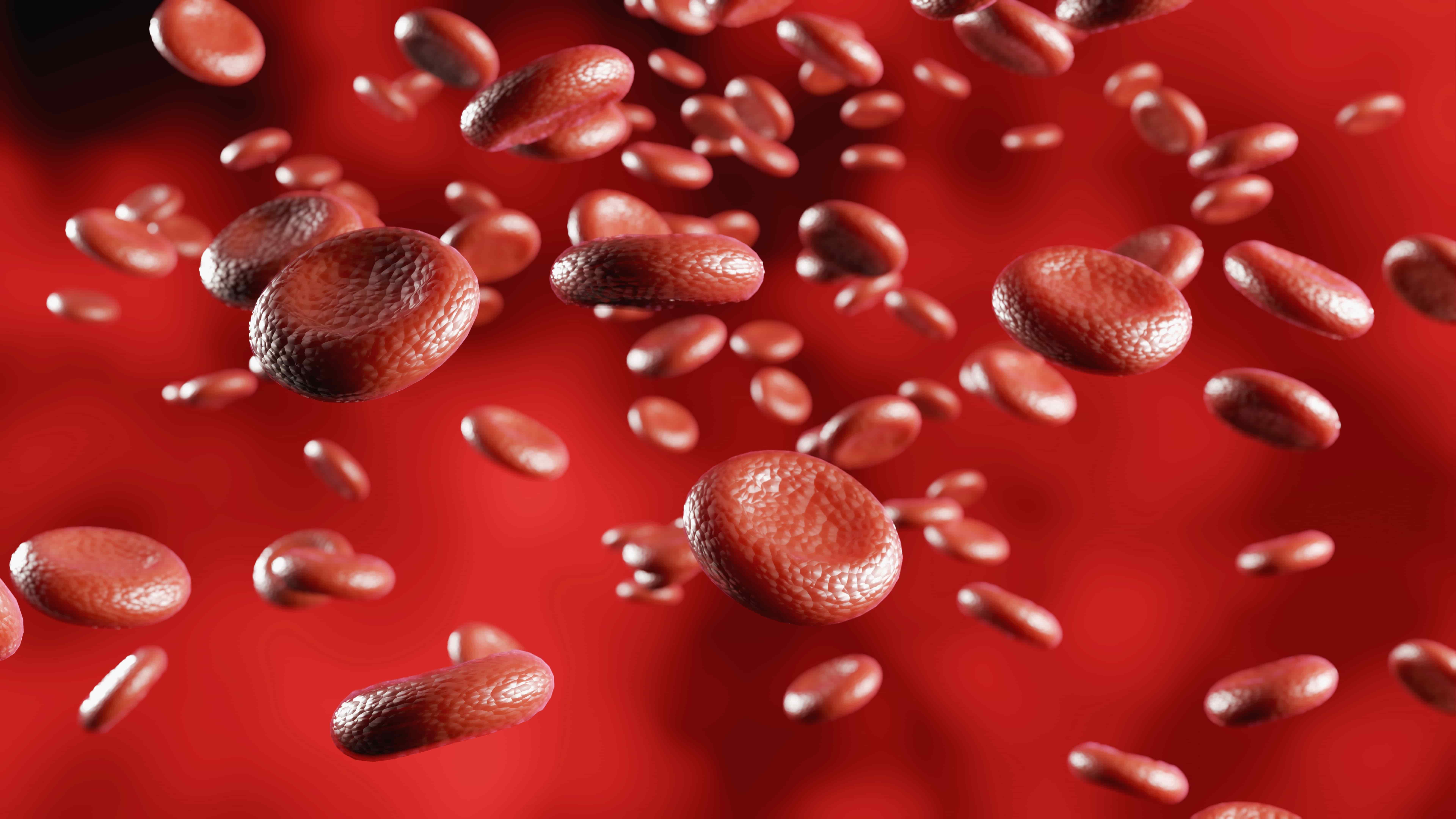 Гемоглобин в крови. Какие продукты повышают гемоглобин