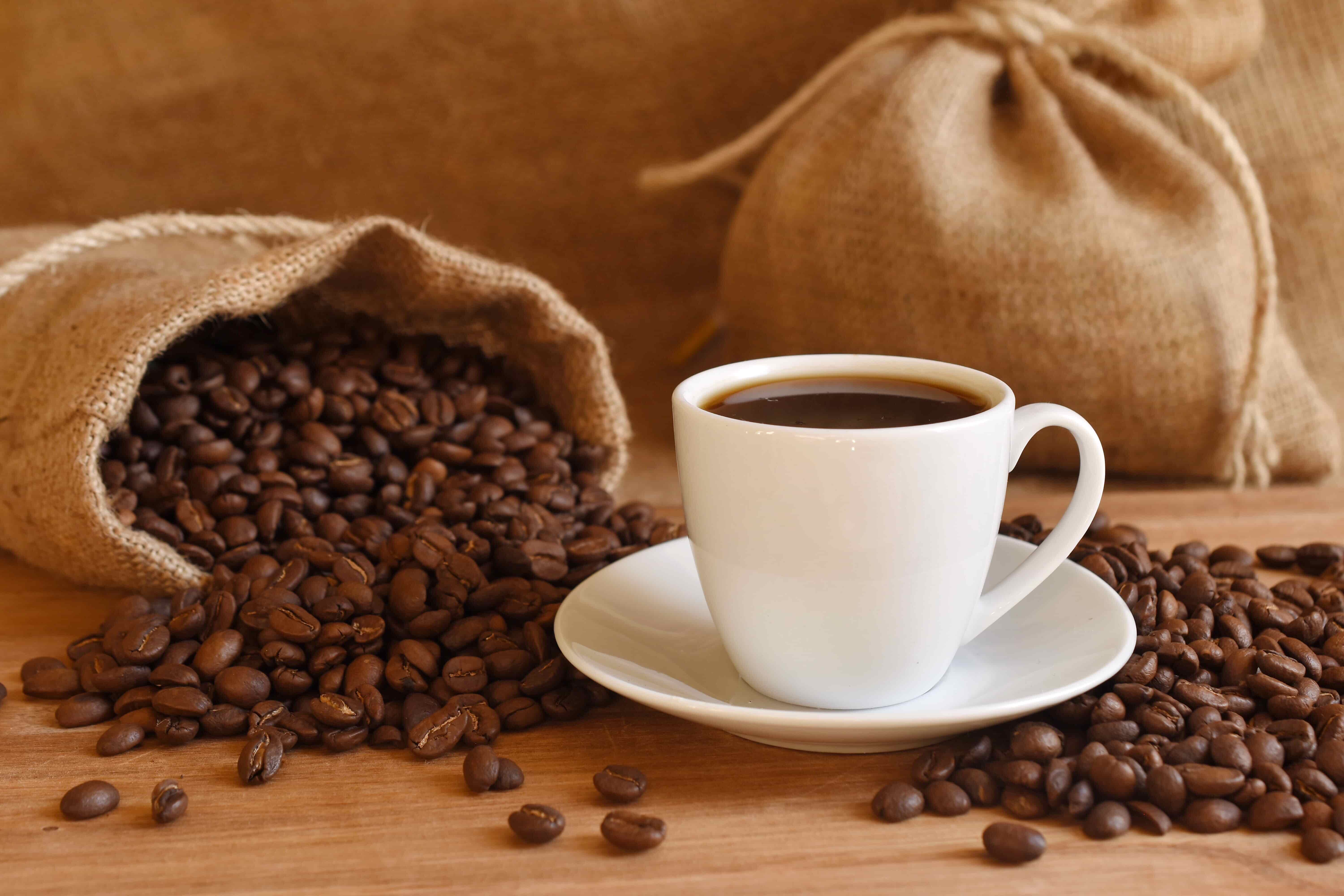 Польза и вред кофе. Сколько кофе пить безопасно для здоровья