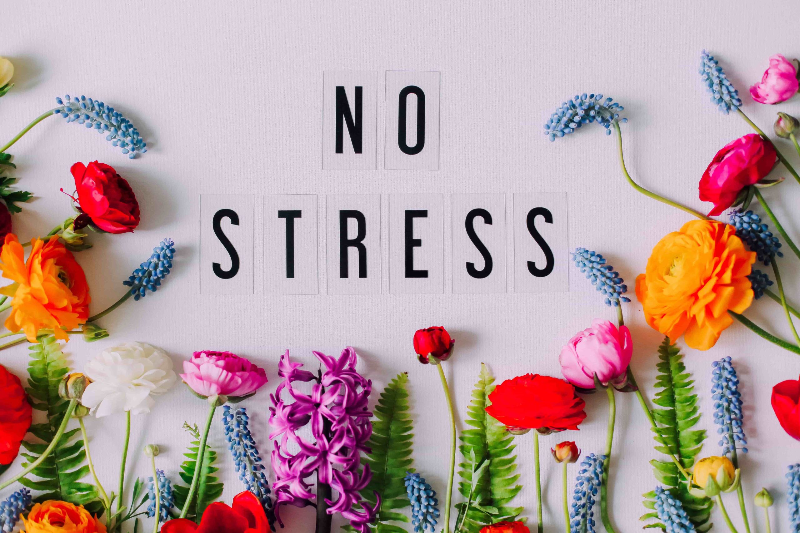Как бороться со стрессом и тревогой. Борьба со стрессом