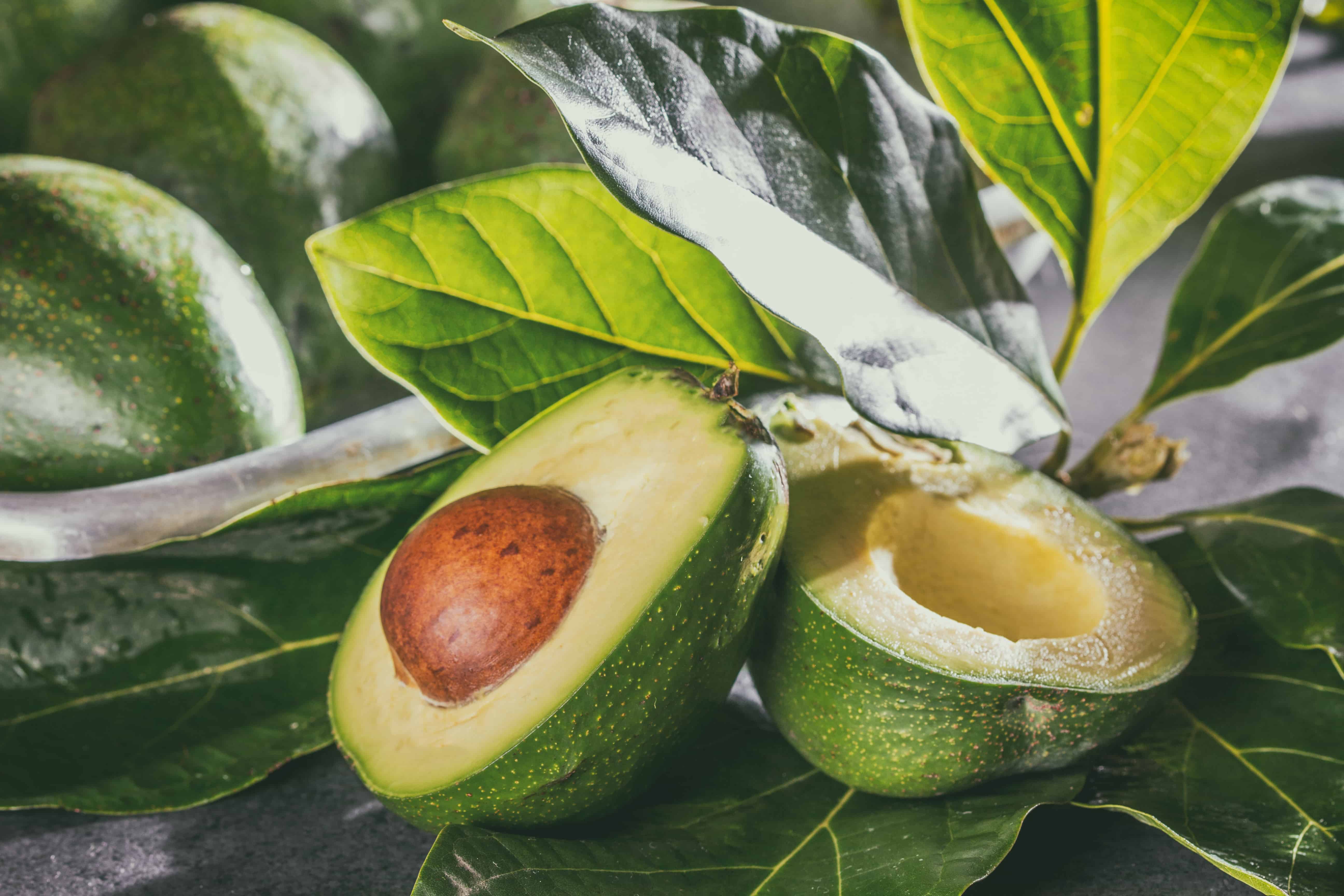 Авокадо - в чем его польза для здоровья человека